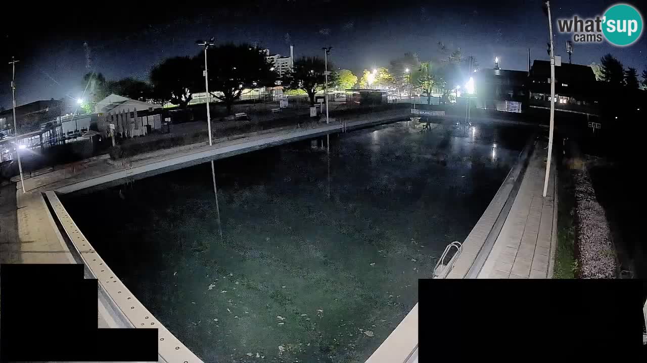 Webcam Celje – Main swimming pool