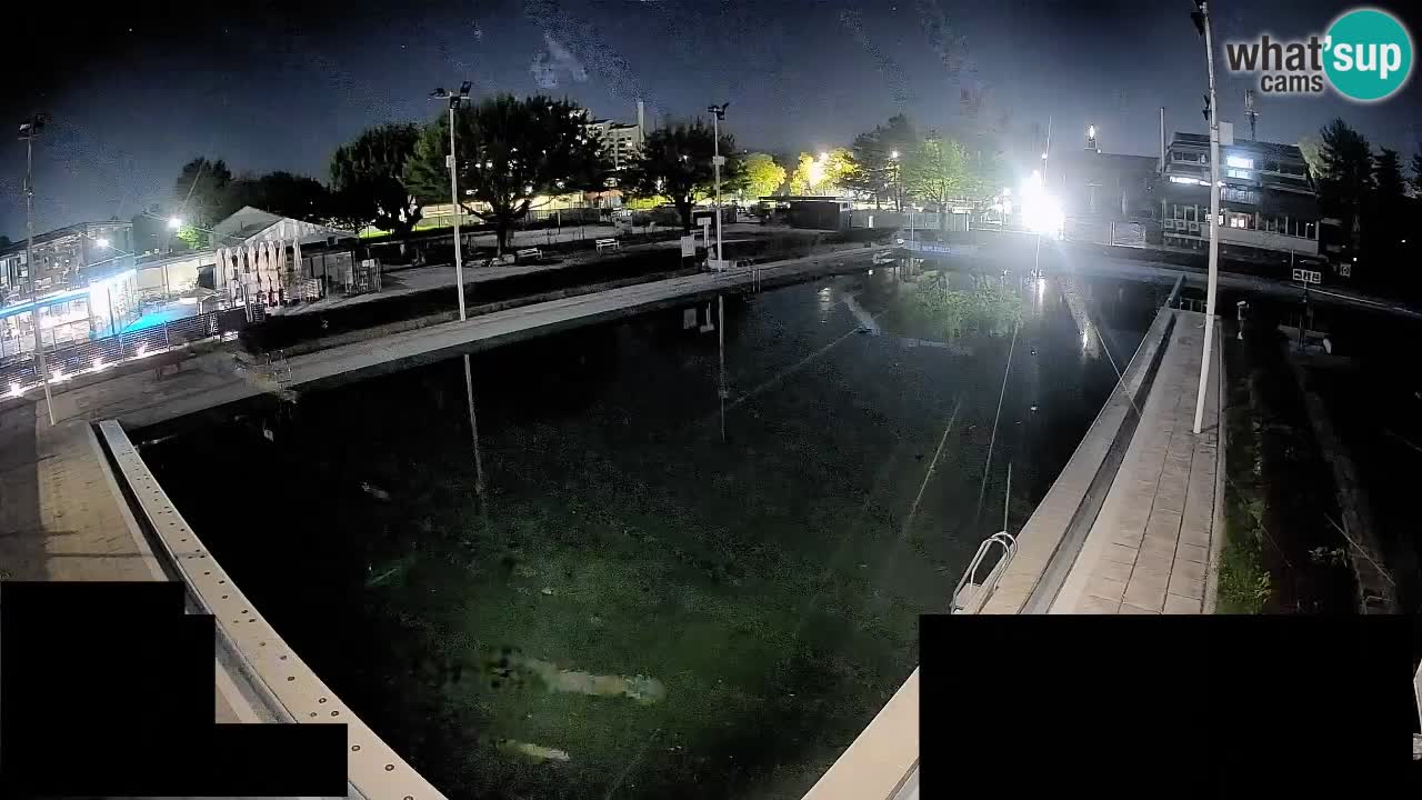 LiveCam Celje – Piscina principale