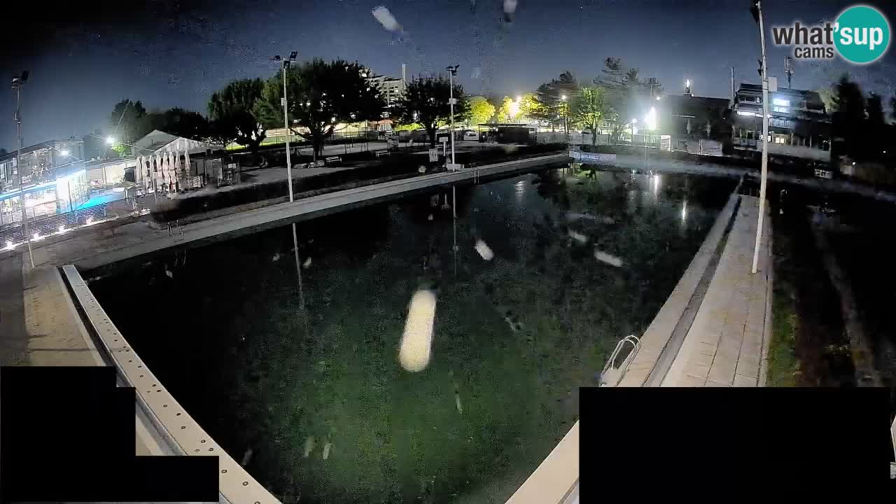 Webcam Celje – Main swimming pool