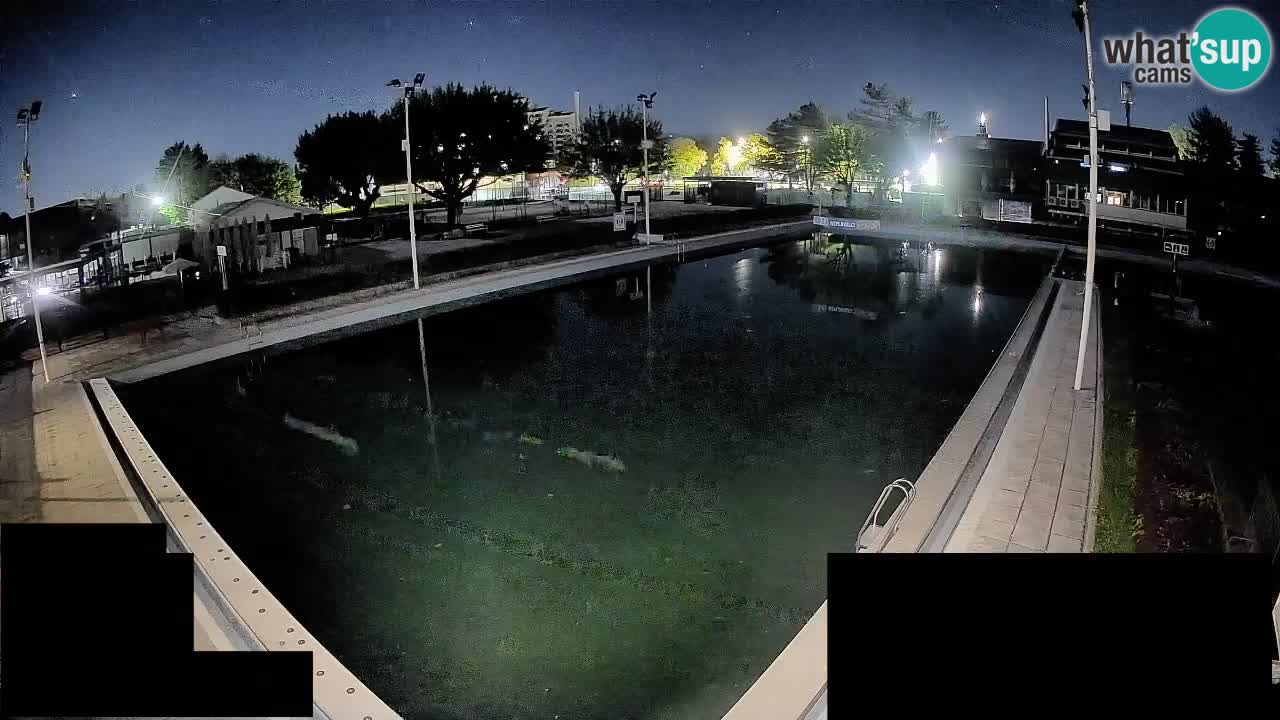 LiveCam Celje – Piscina principale