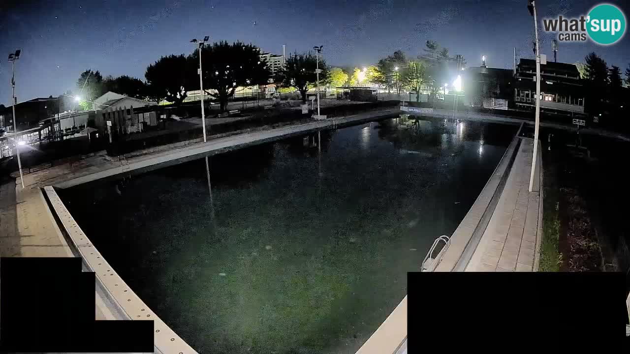 Webcam Celje – Hauptschwimmbad