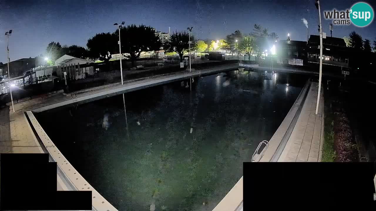 Cámara web Celje – Piscina principal