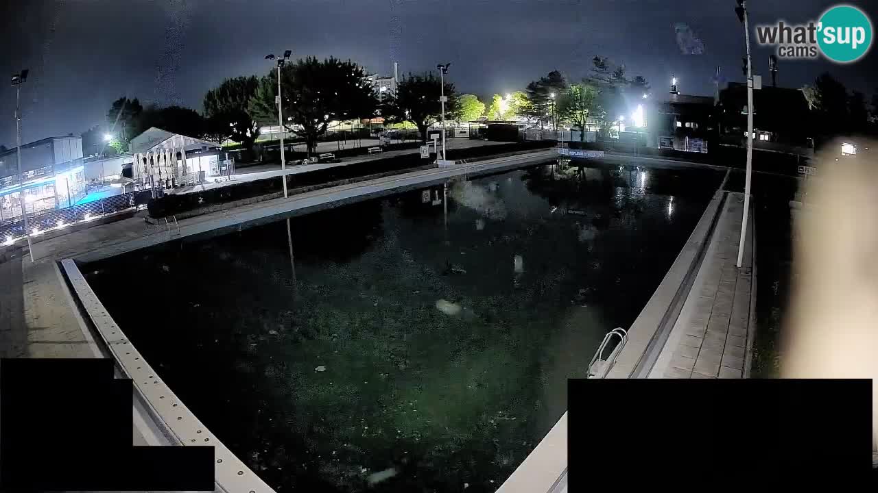 Webcam Celje – Main swimming pool