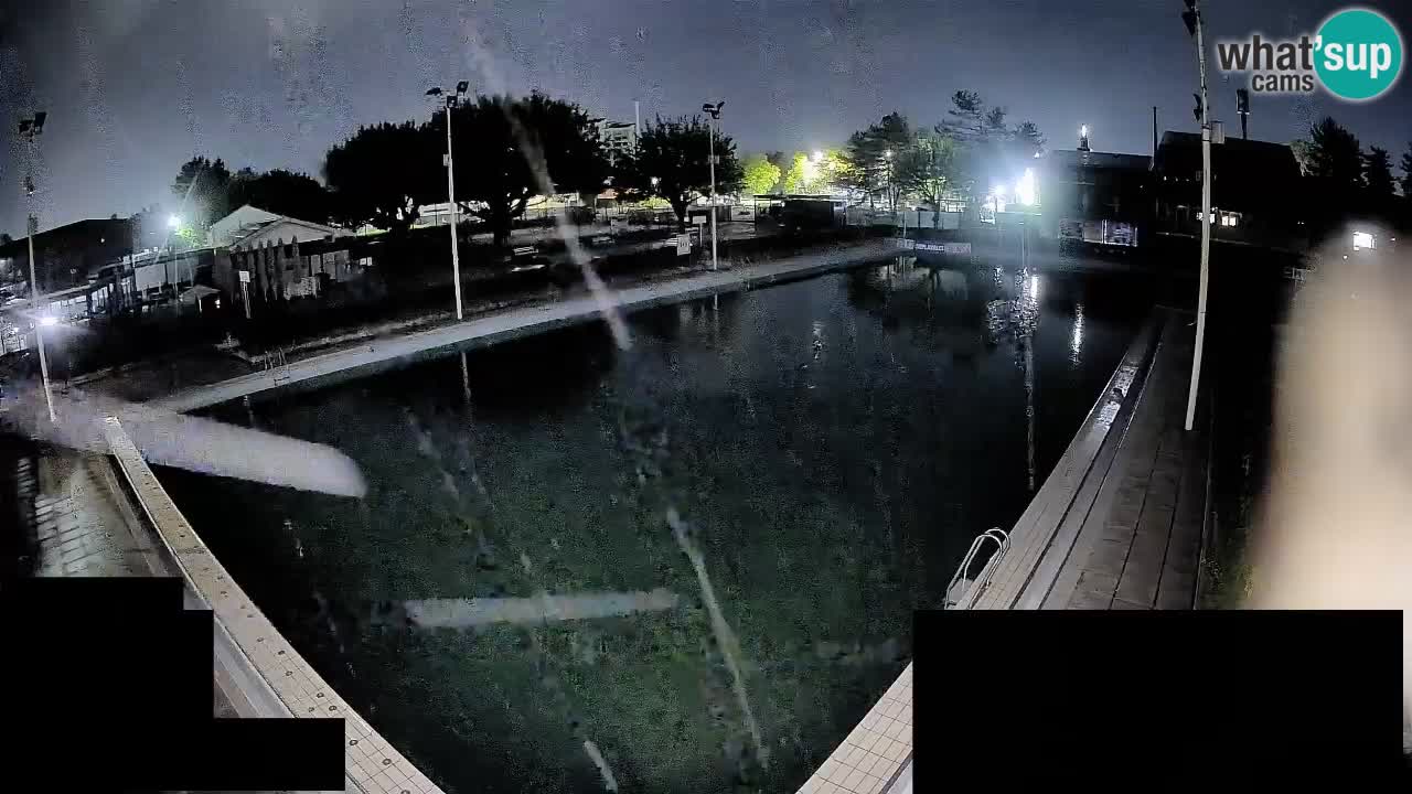 Webcam Celje – Main swimming pool