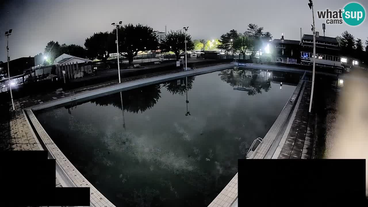 Webcam Celje – Main swimming pool