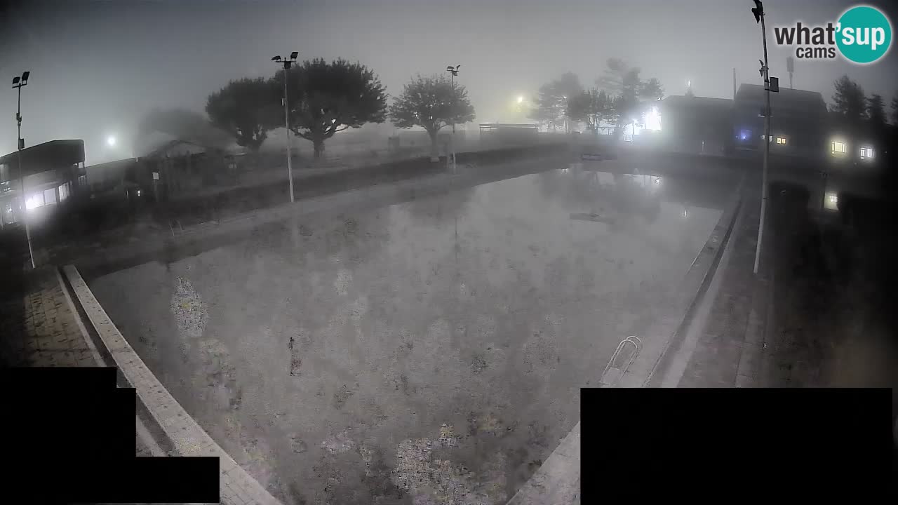 Webcam Celje – Main swimming pool