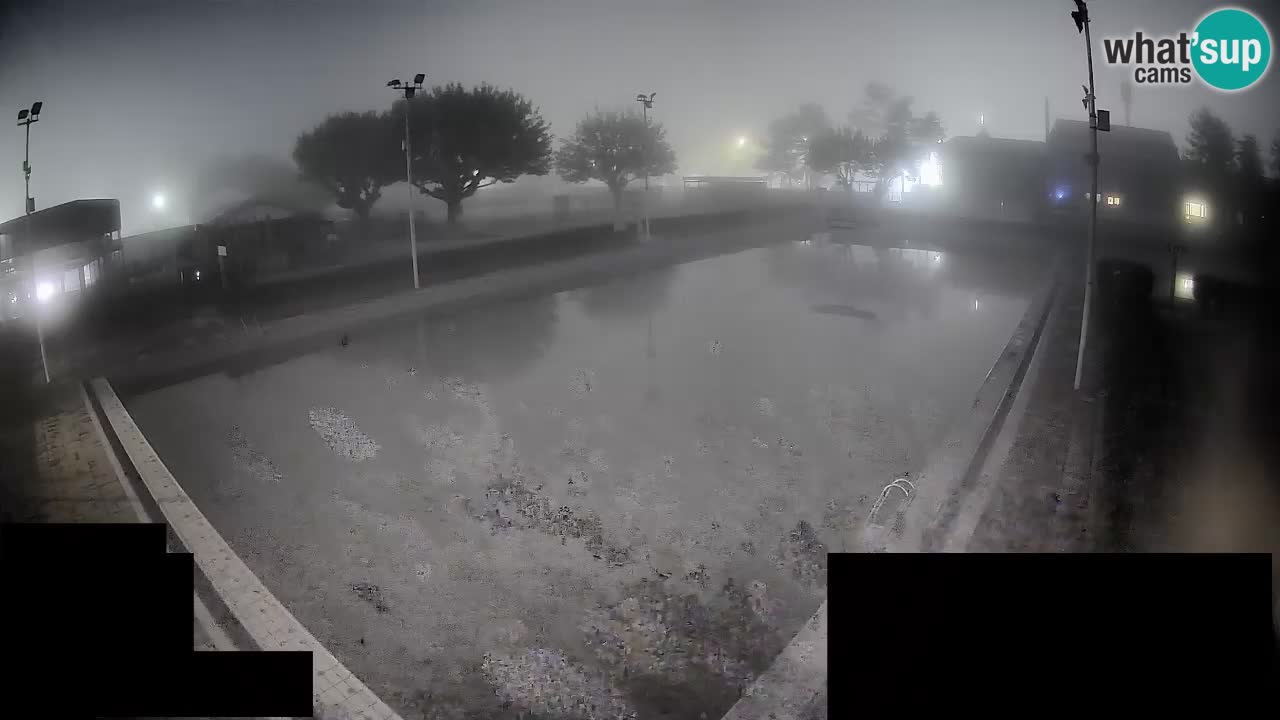 Webcam Celje – Main swimming pool