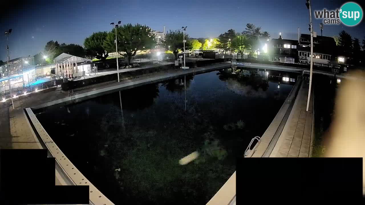 Cámara web Celje – Piscina principal