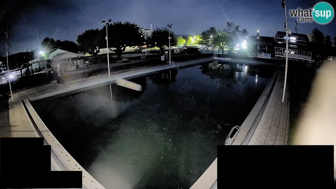 Webcam Celje – Main swimming pool