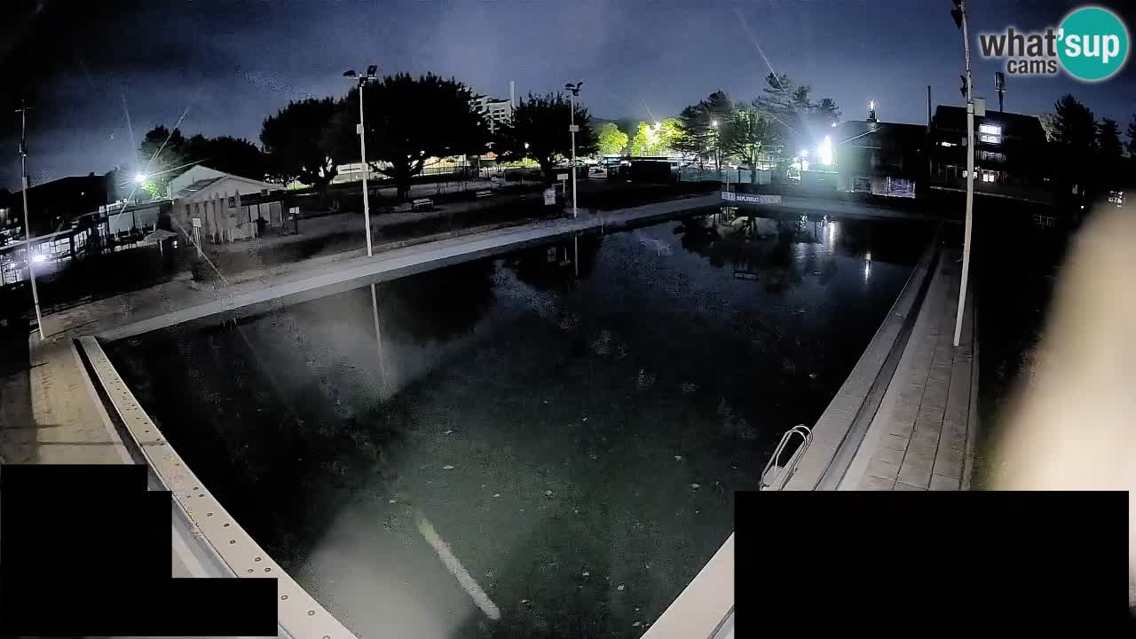Cámara web Celje – Piscina principal
