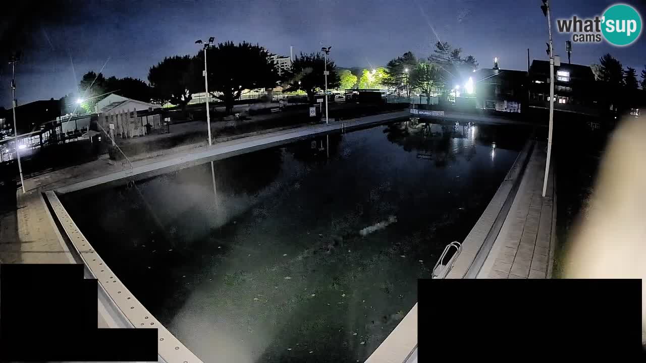 Webcam Celje – Main swimming pool