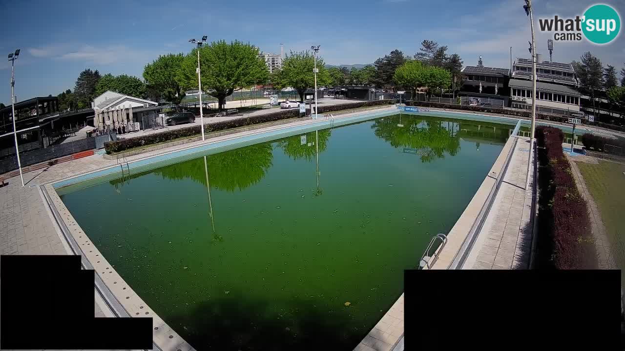 Webcam Celje – Main swimming pool