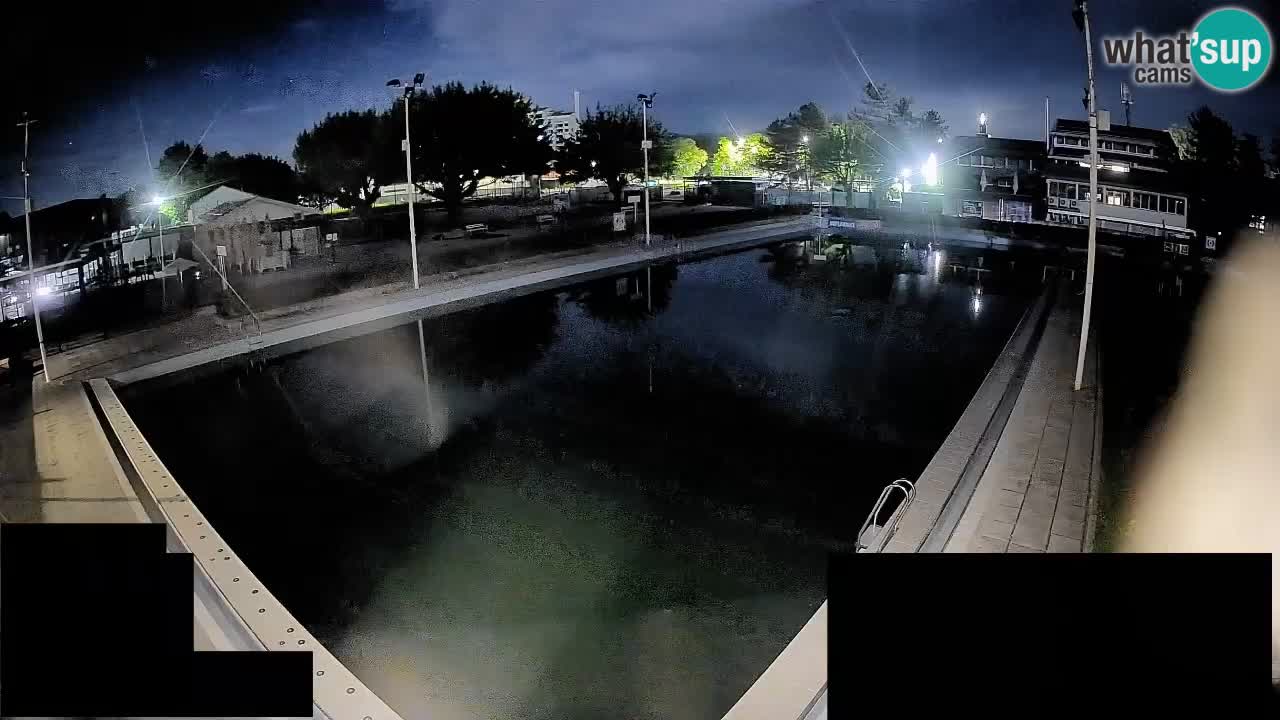 Webcam Celje – Hauptschwimmbad