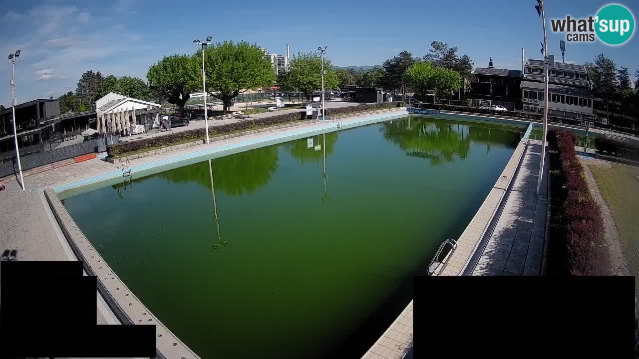 Webcam Celje – Main swimming pool