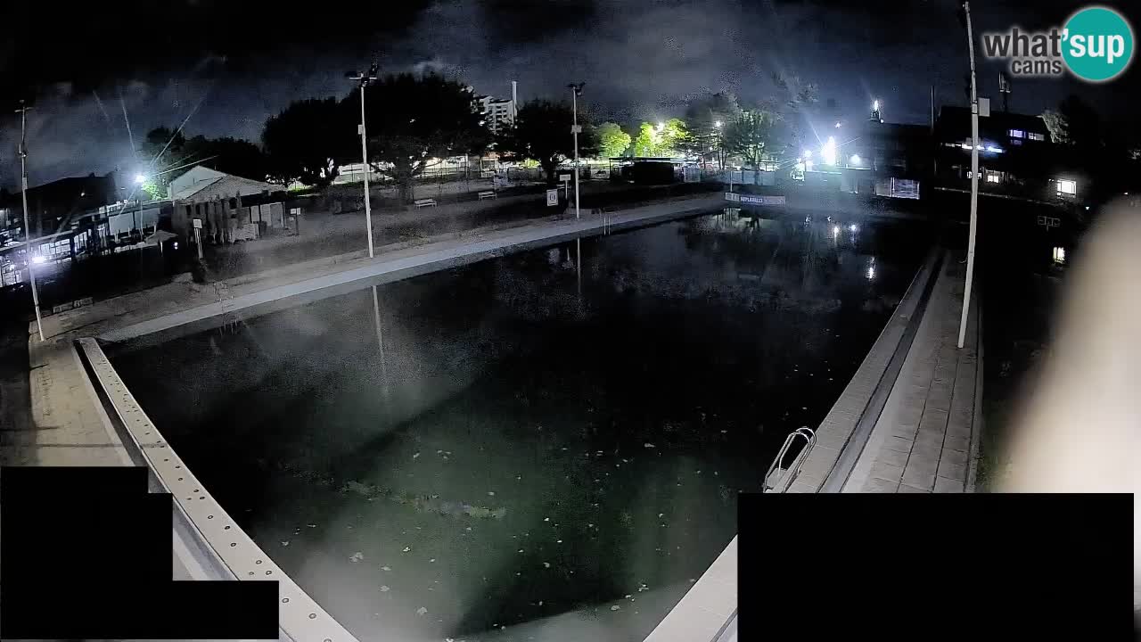 Webcam Celje – Hauptschwimmbad