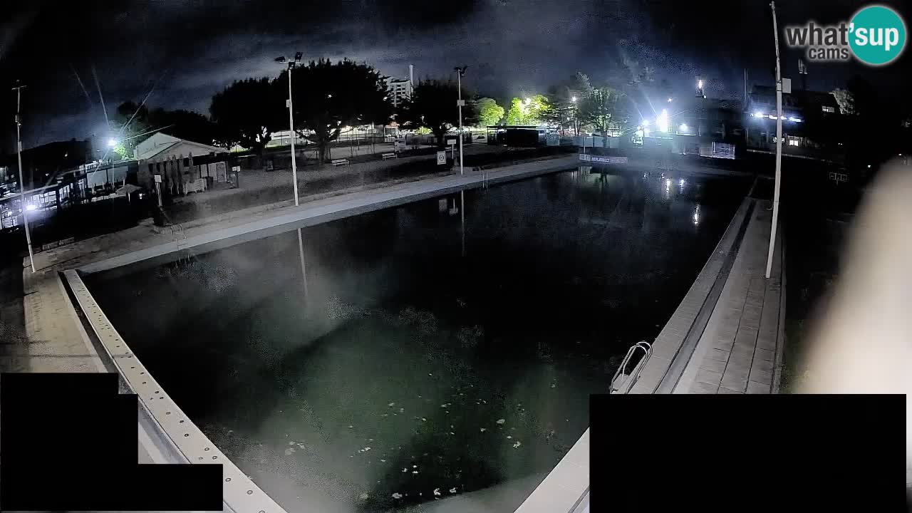 Webcam Celje – Main swimming pool