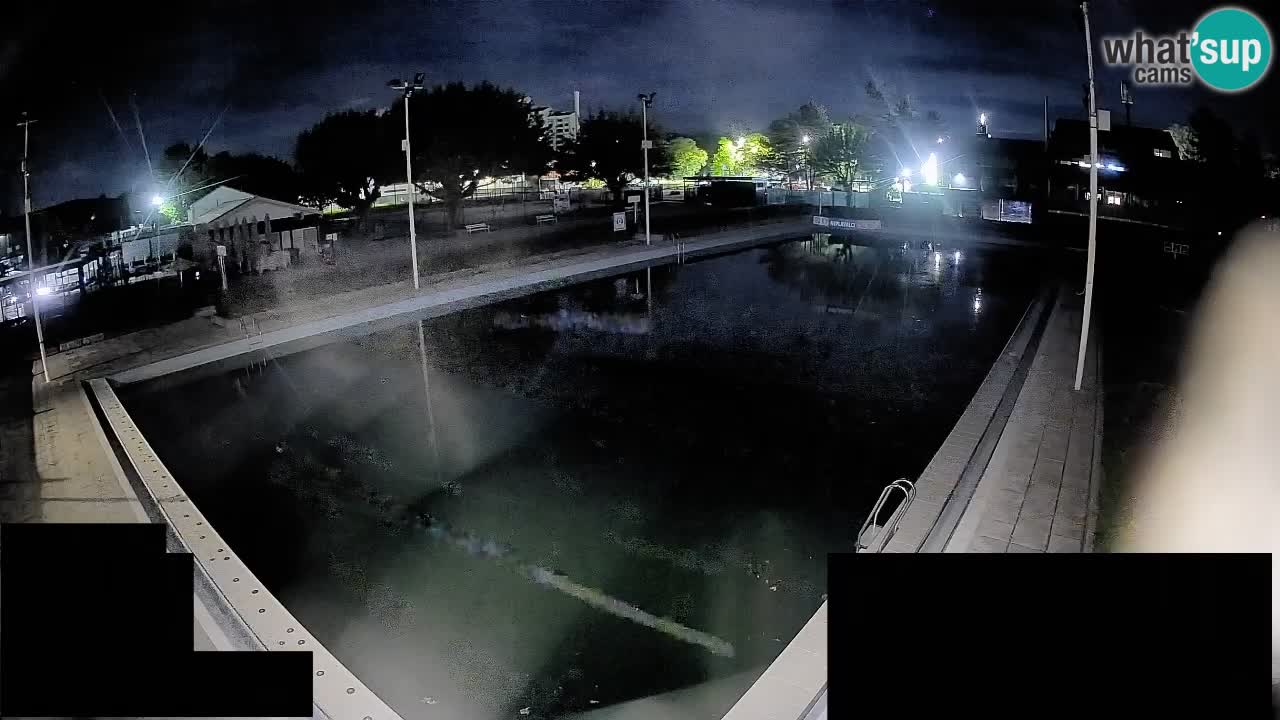 Webcam Celje – Main swimming pool