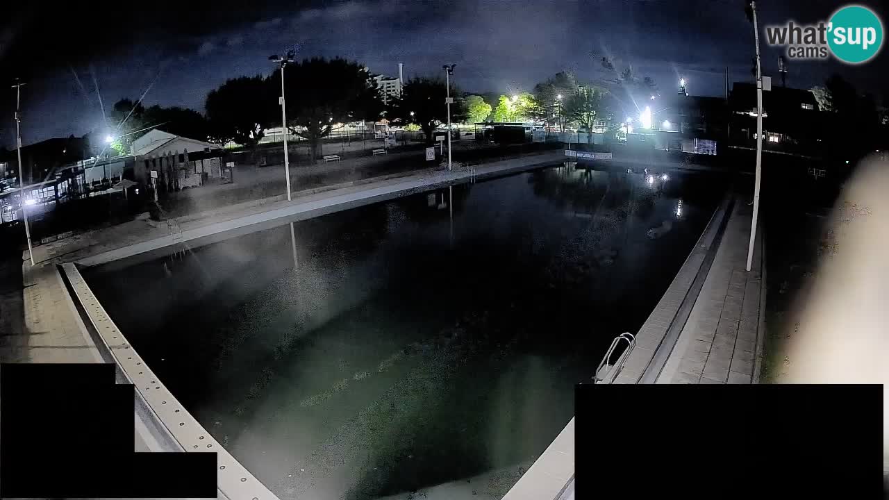 Webcam Celje – Main swimming pool