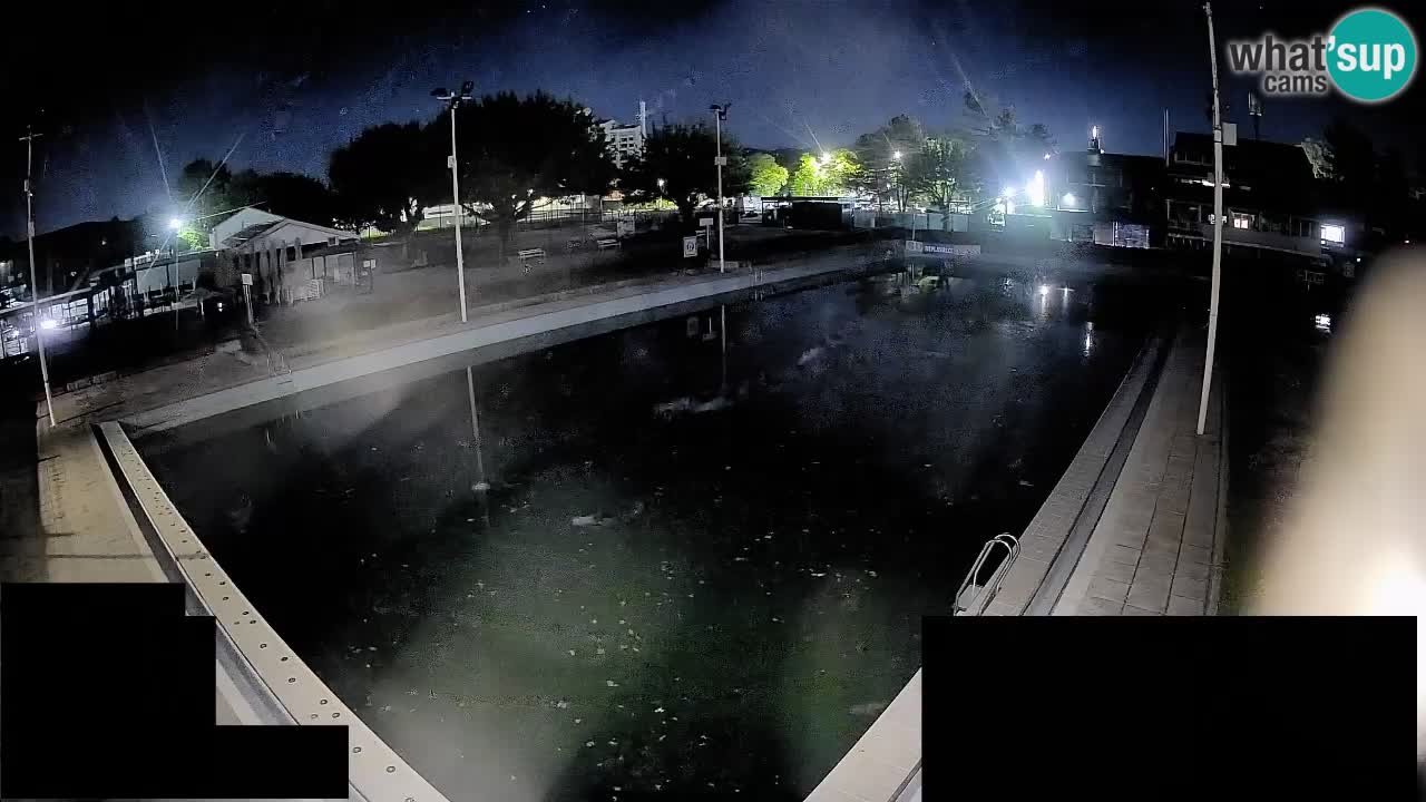Webcam Celje – Hauptschwimmbad