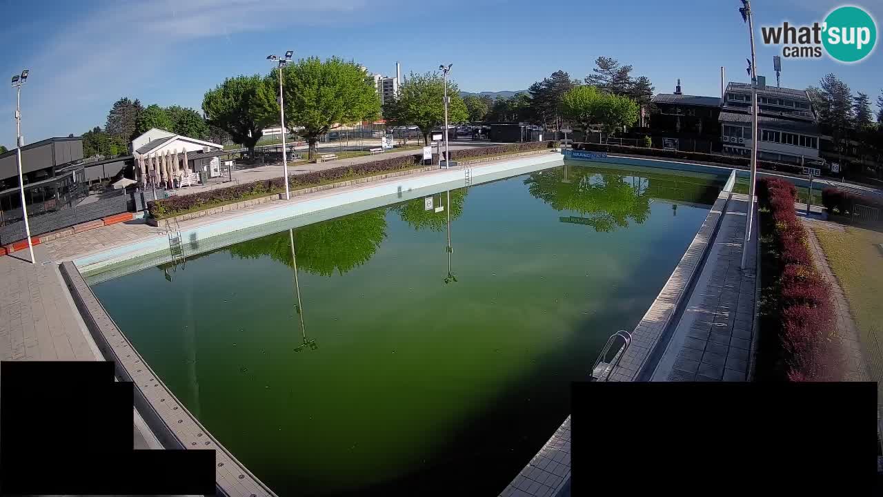 Webcam Celje – Main swimming pool
