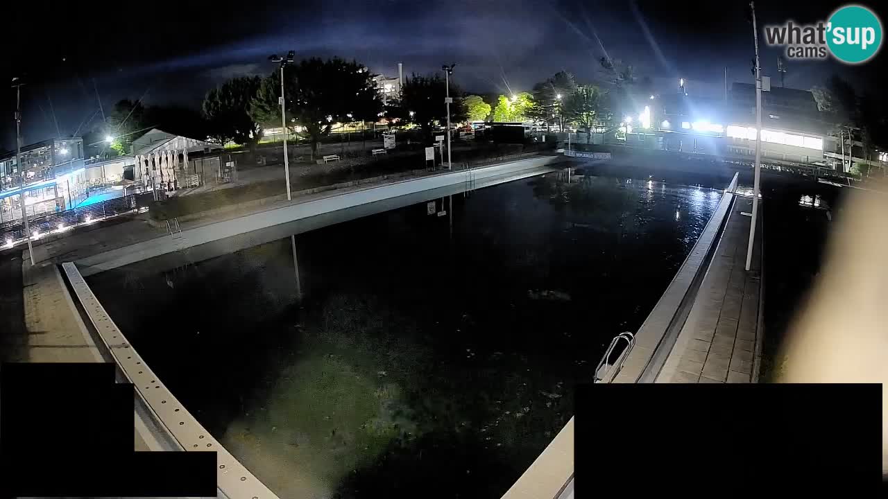 Webcam Celje – Main swimming pool