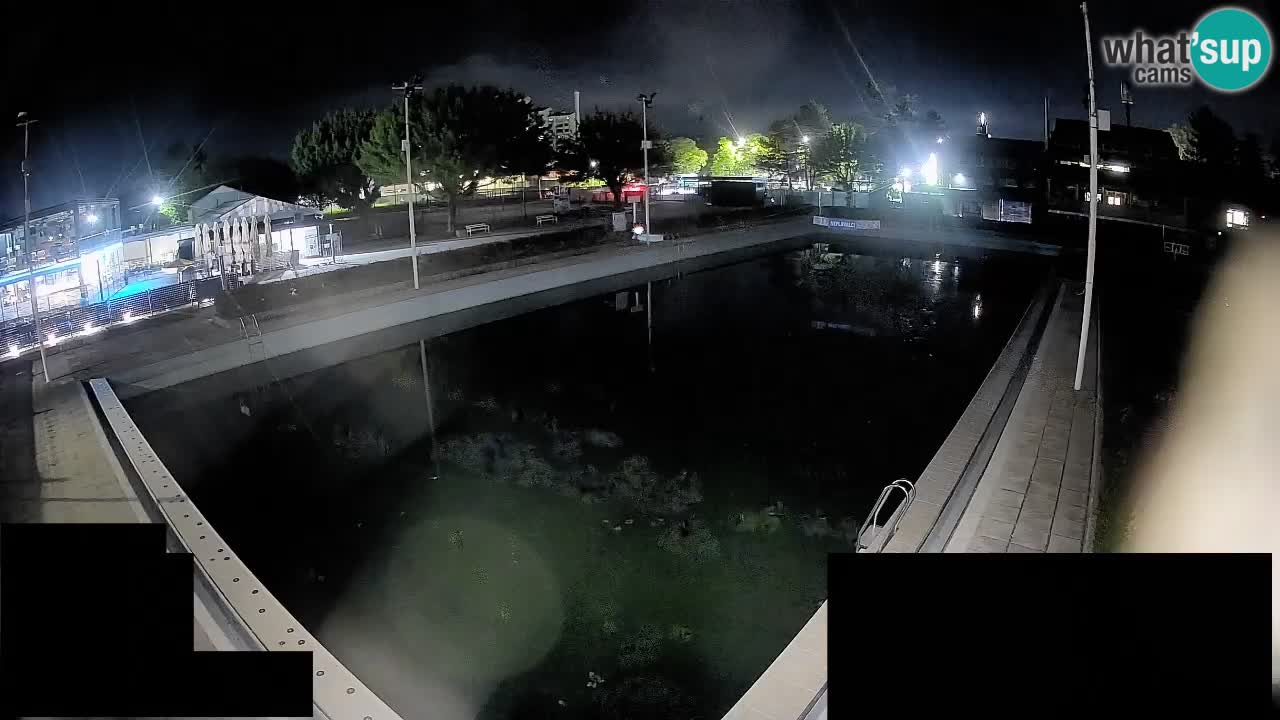 Webcam Celje – Main swimming pool