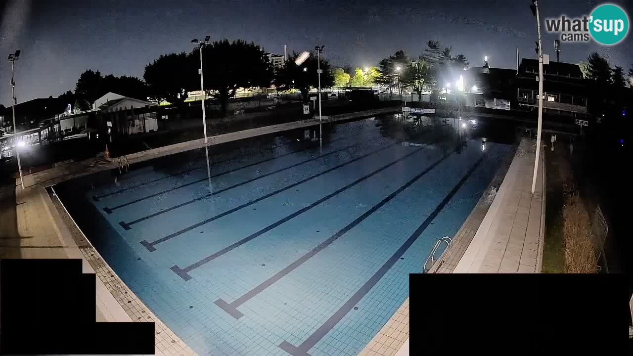 Webcam Celje – Main swimming pool