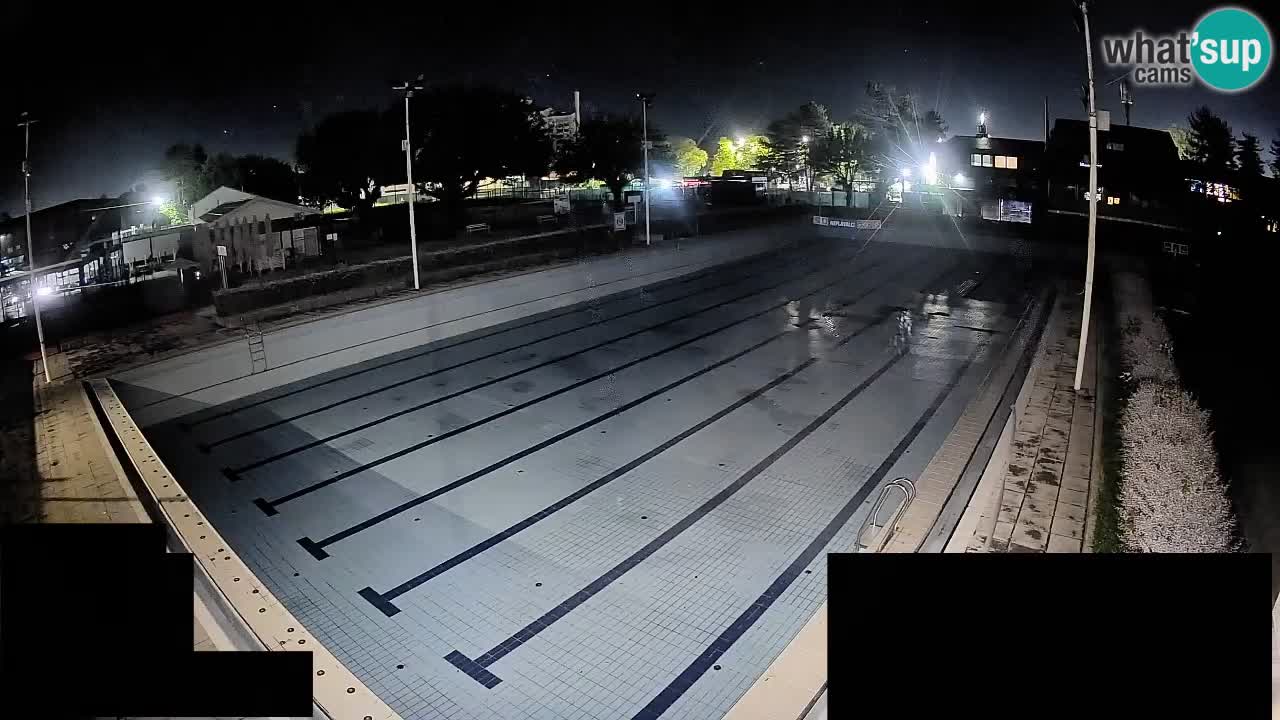 Webcam Celje – Main swimming pool