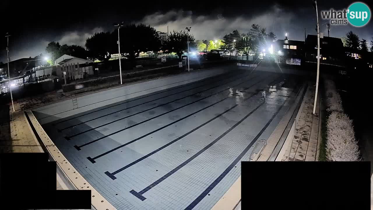 Webcam Celje – Main swimming pool