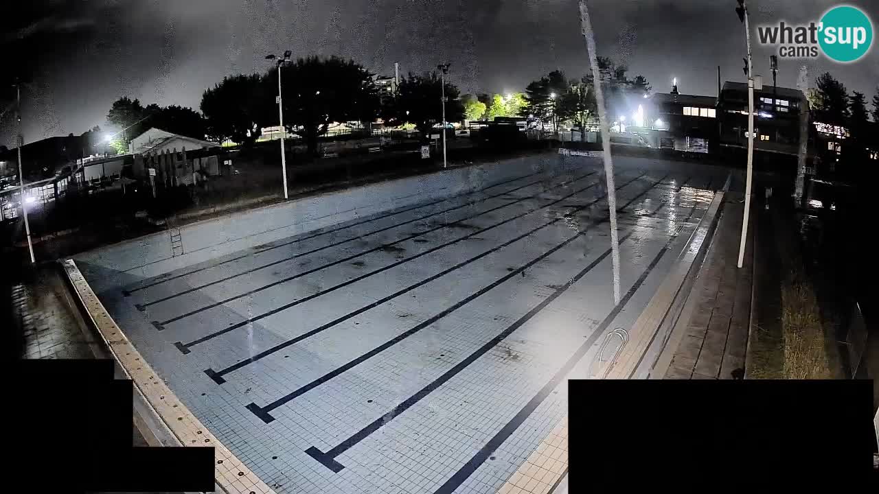 Webcam Celje – Main swimming pool