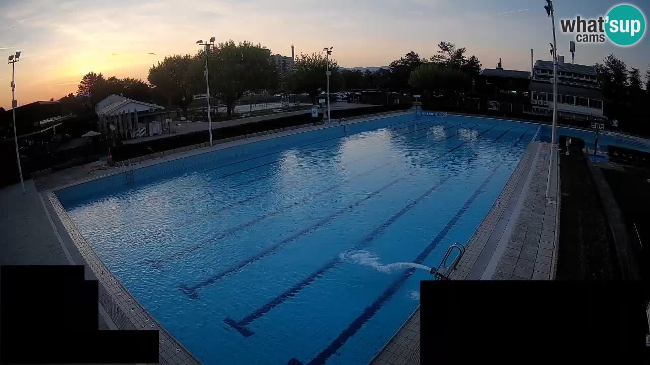 Webcam Celje – Main swimming pool