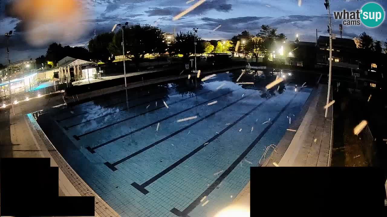 Webcam Celje – Main swimming pool