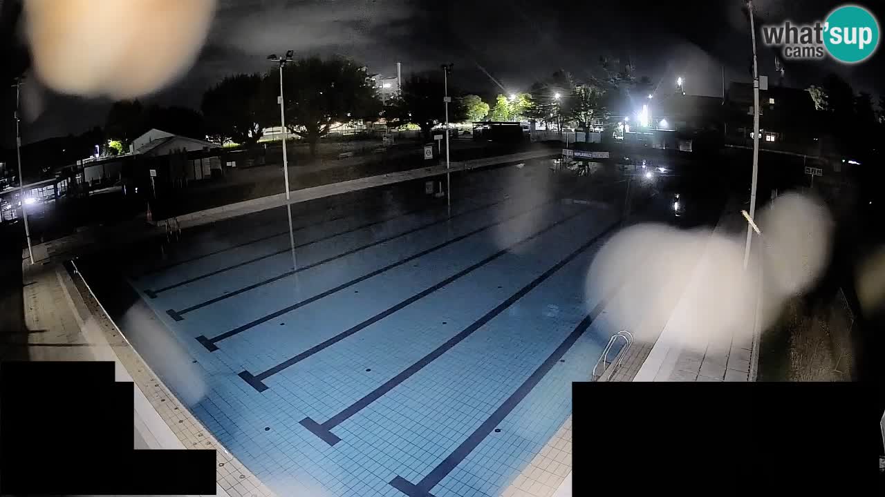 Webcam Celje – Main swimming pool