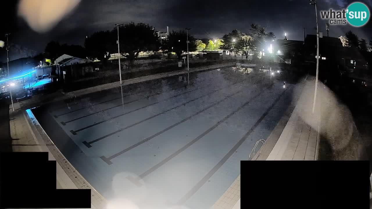 Webcam Celje – Main swimming pool