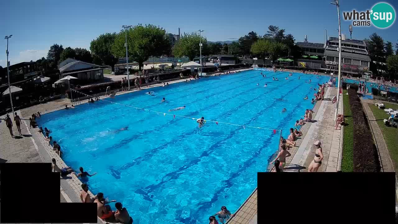 Webcam Celje – Main swimming pool