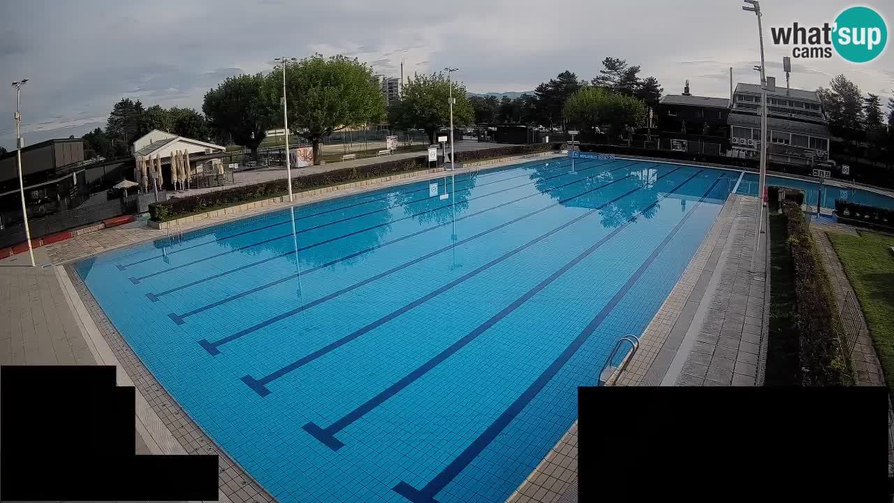 Webcam Celje – Main swimming pool