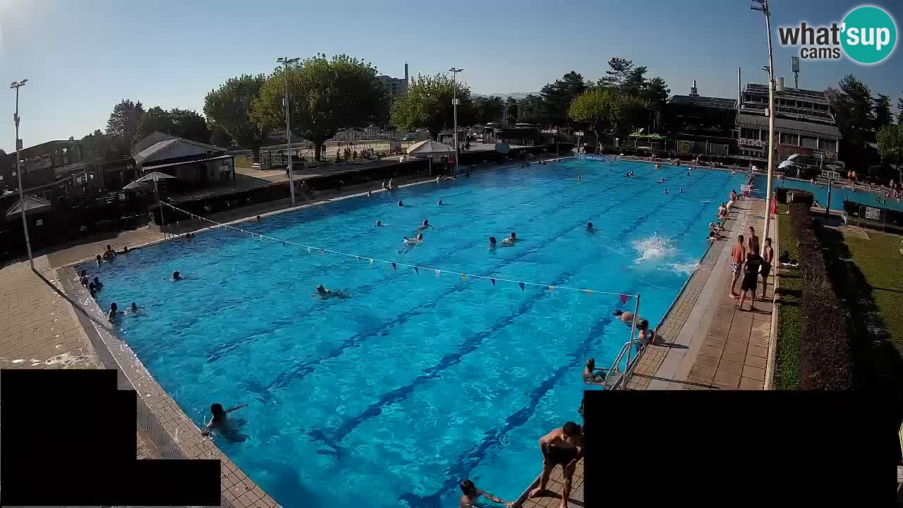 Webcam Celje – Main swimming pool