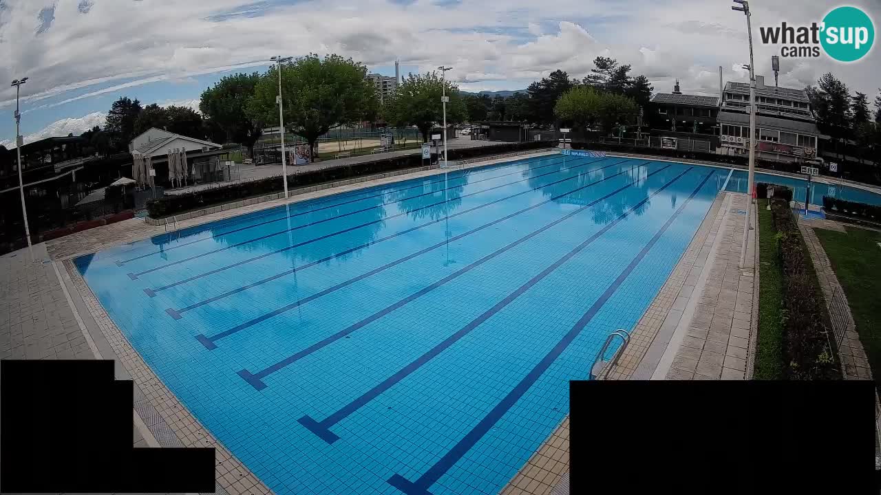 Webcam Celje – Main swimming pool