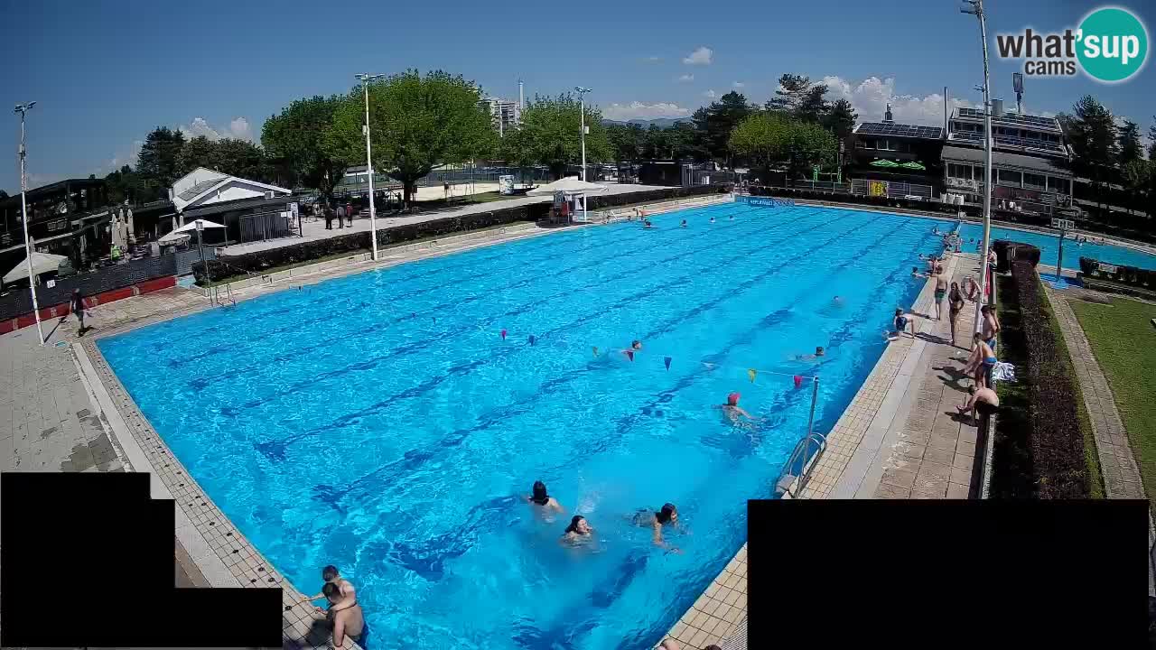 Webcam Celje – Main swimming pool