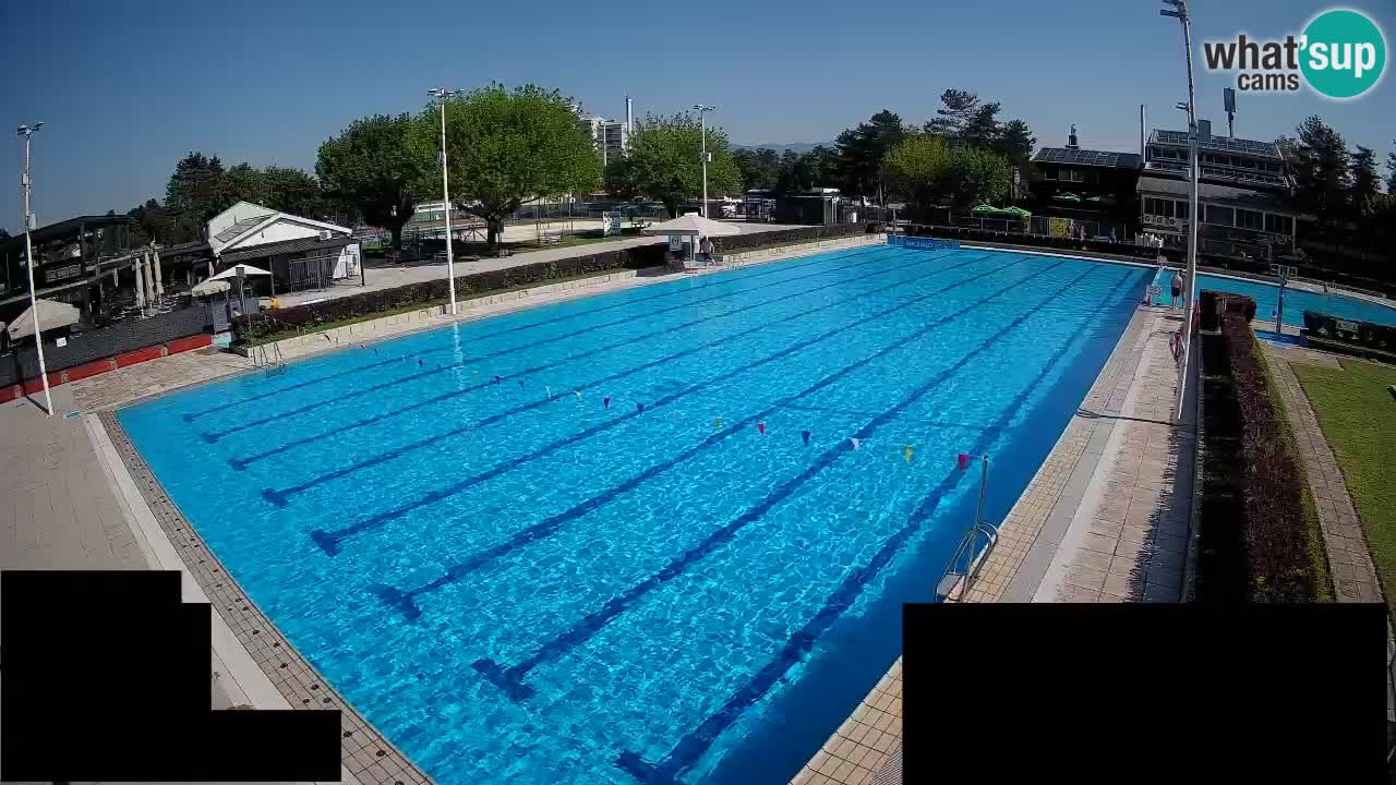 Webcam Celje – Main swimming pool