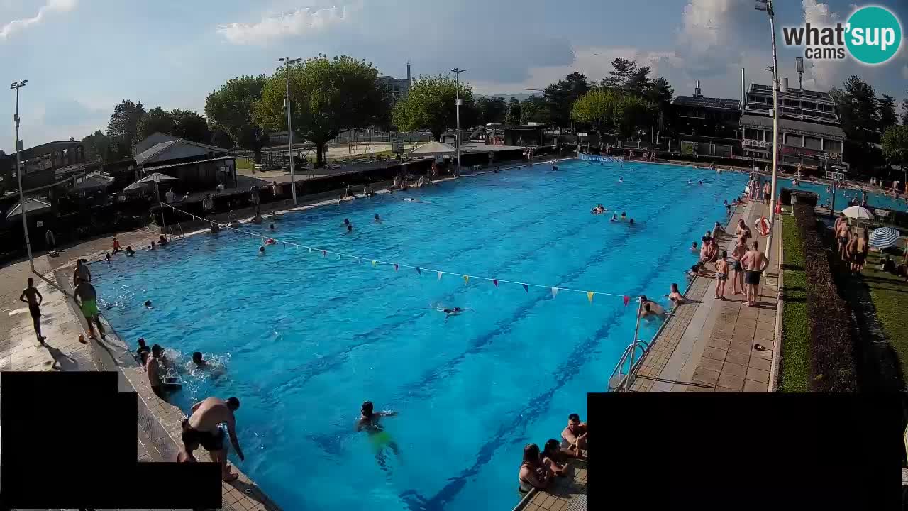 Webcam Celje – Main swimming pool