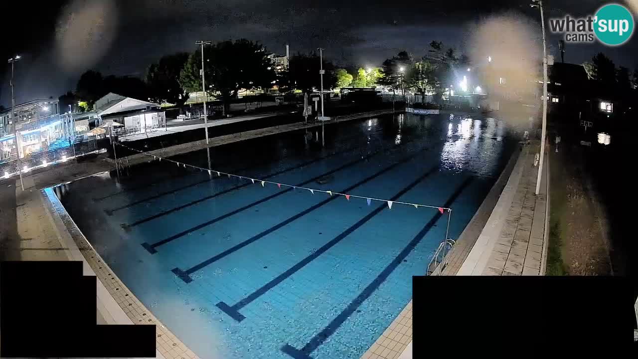 Webcam Celje – Main swimming pool