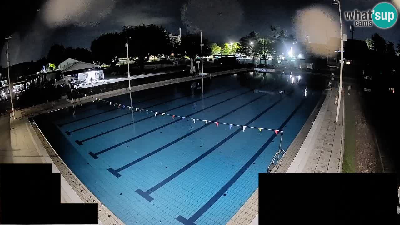 Webcam Celje – Main swimming pool