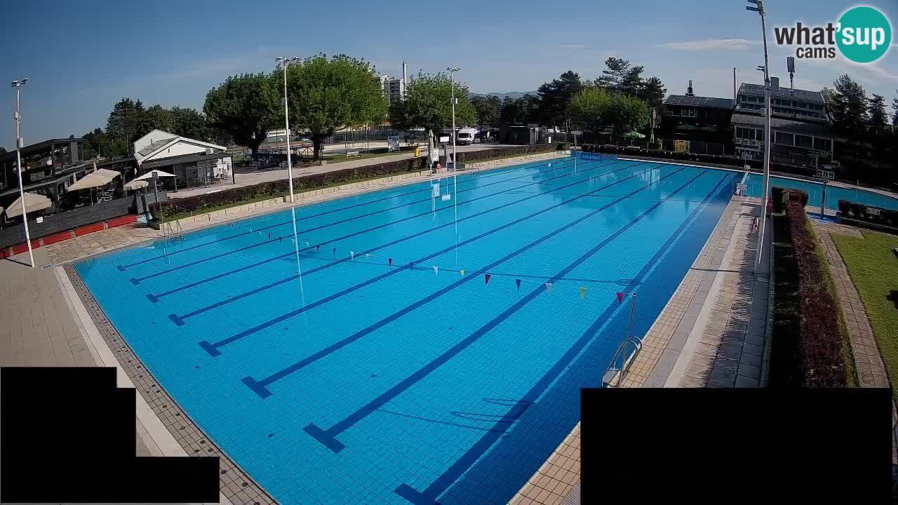 Webcam Celje – Main swimming pool