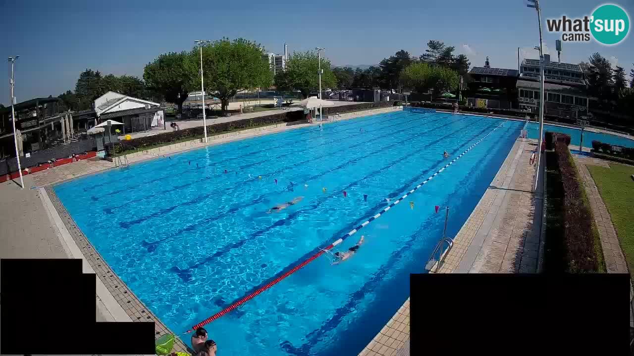 Webcam Celje – Main swimming pool