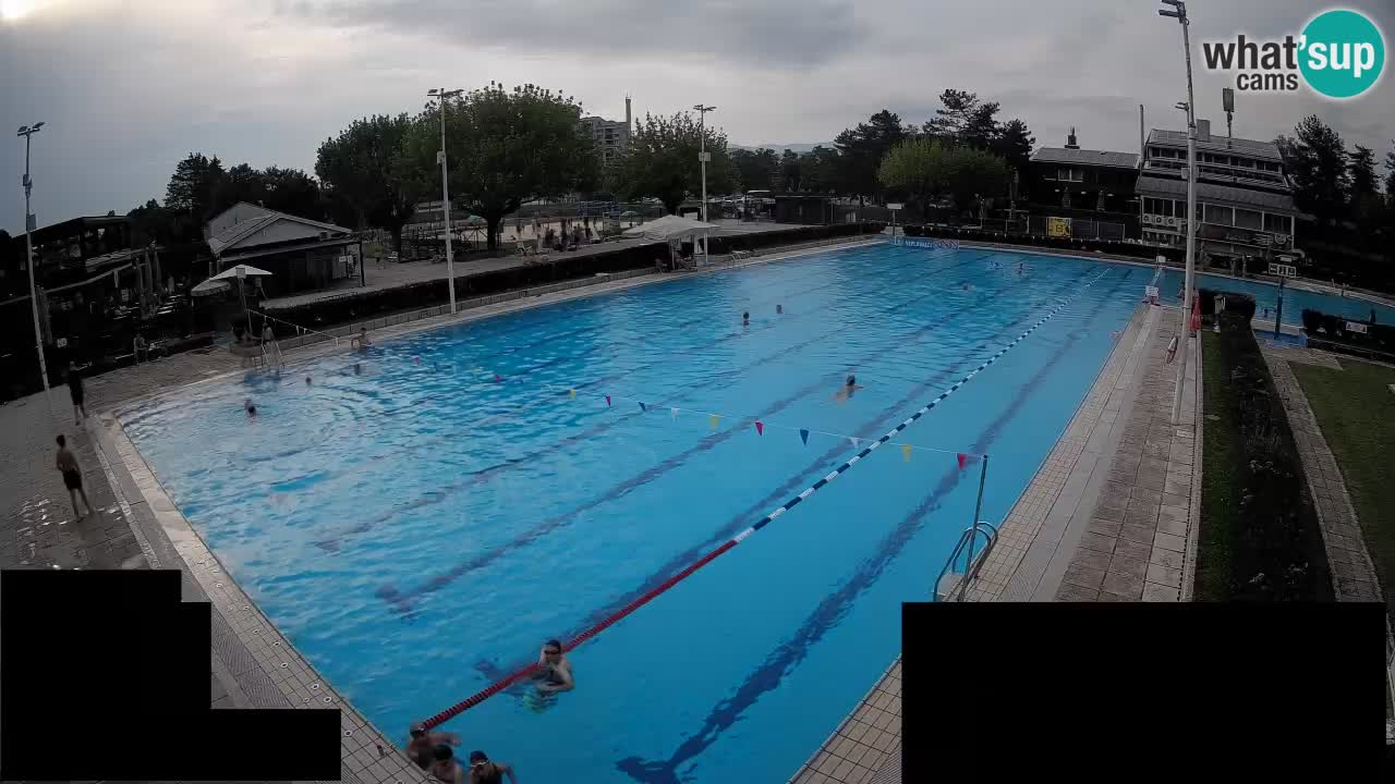 Webcam Celje – Main swimming pool