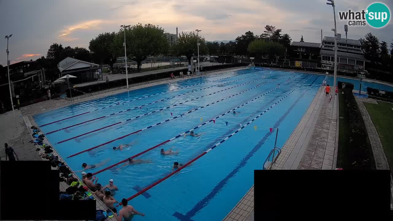 Webcam Celje – Main swimming pool