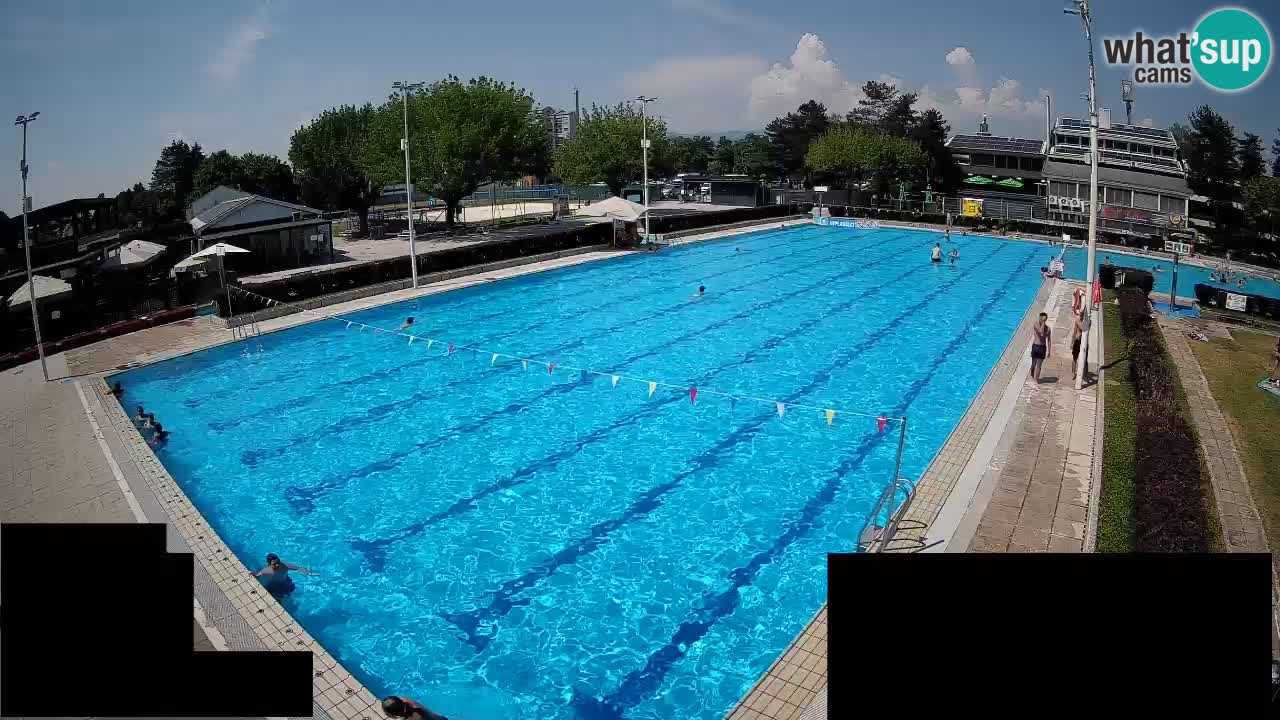 Webcam Celje – Main swimming pool