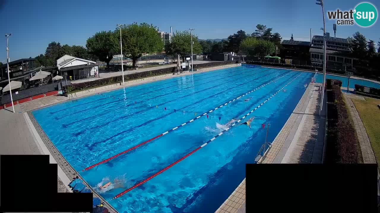Webcam Celje – Main swimming pool