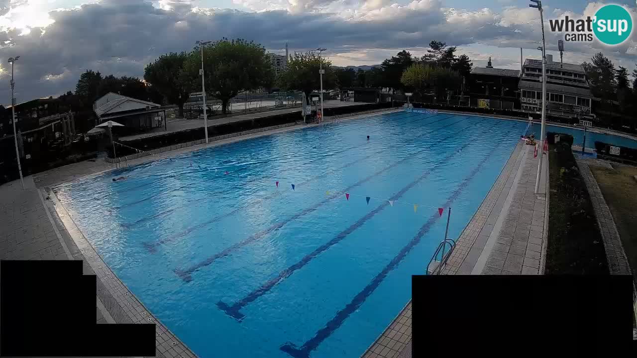 Webcam Celje – Main swimming pool